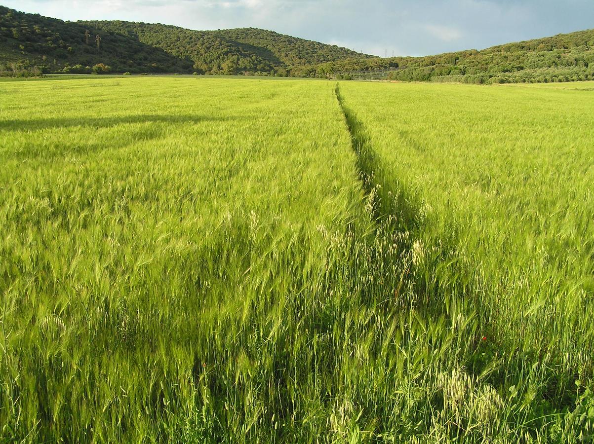 Agriturismo Grazia Орбетелло Экстерьер фото